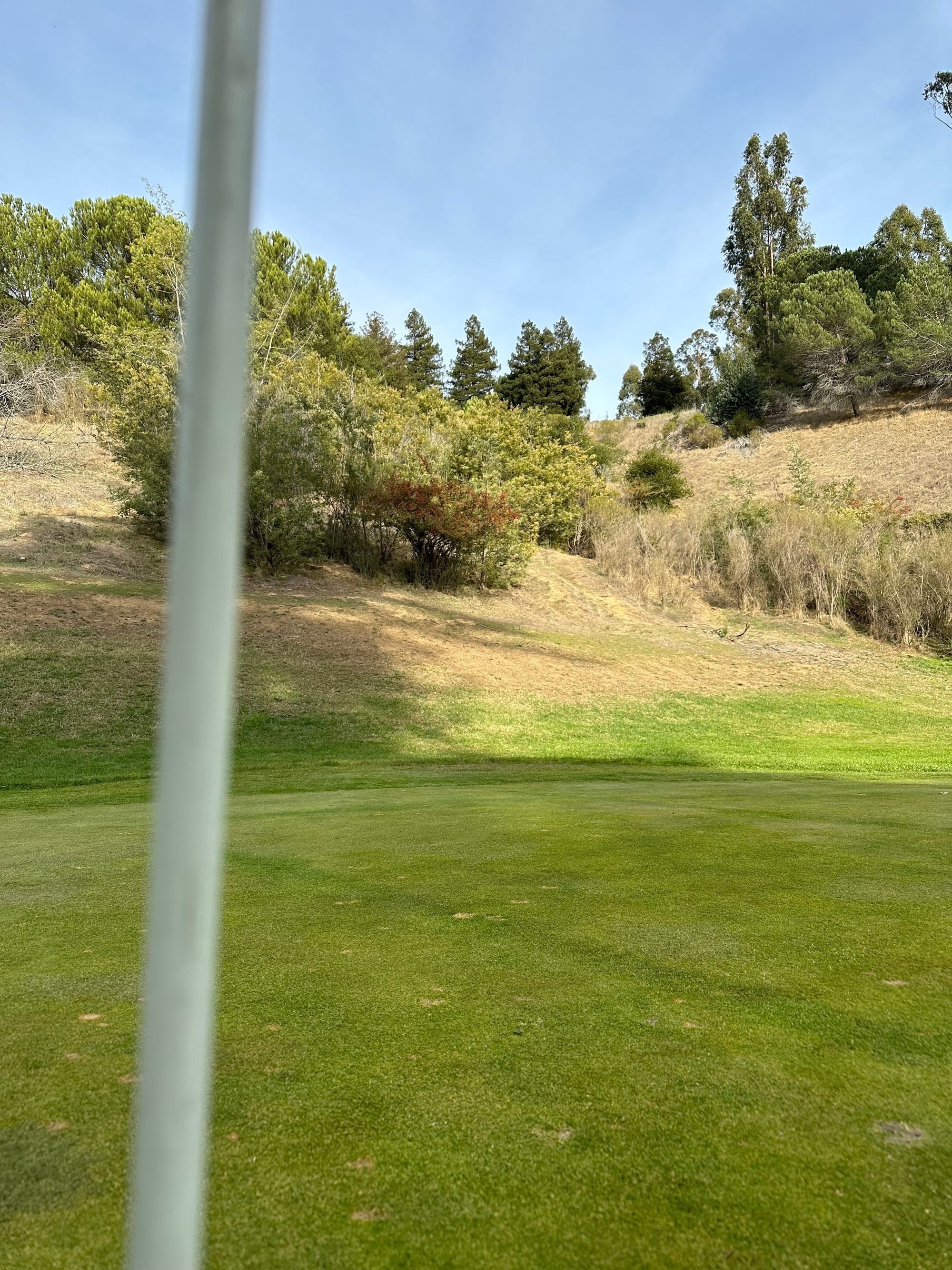 Dewy Golf