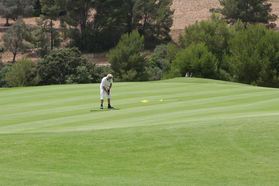 Reading Greens Like a Pro: The Art of Putting with Precision